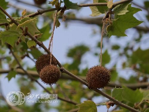 suncitygroup太阳集团