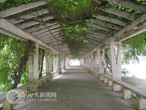 suncitygroup太阳集团