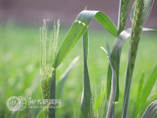 suncitygroup太阳集团