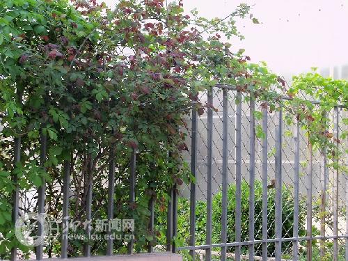 suncitygroup太阳集团