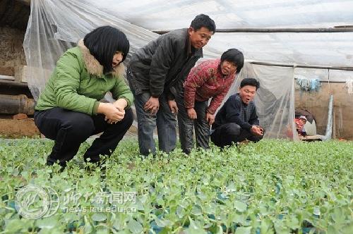 suncitygroup太阳集团