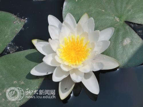 suncitygroup太阳集团