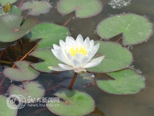 suncitygroup太阳集团