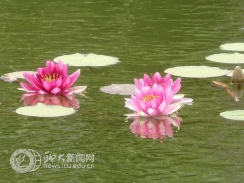 suncitygroup太阳集团