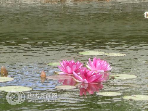 suncitygroup太阳集团