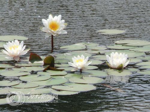 suncitygroup太阳集团