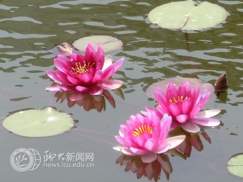 suncitygroup太阳集团