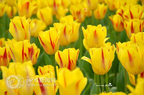 suncitygroup太阳集团