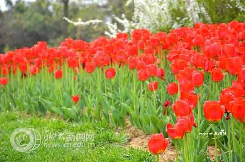 suncitygroup太阳集团