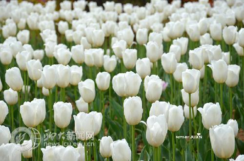 suncitygroup太阳集团