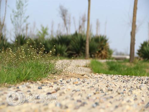 suncitygroup太阳集团