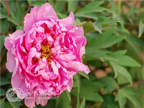 suncitygroup太阳集团