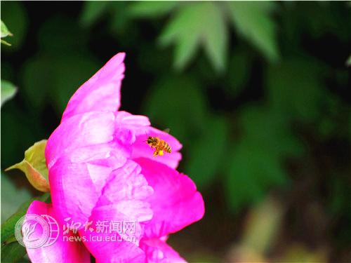 suncitygroup太阳集团