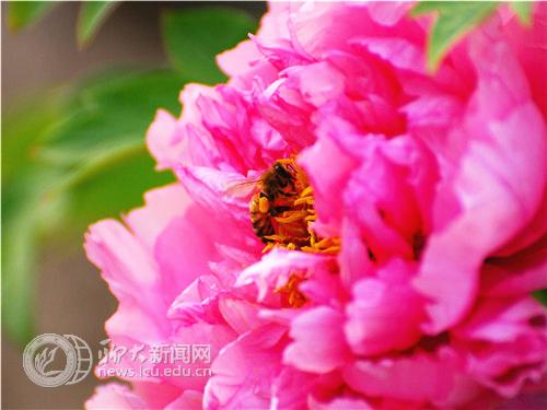 suncitygroup太阳集团