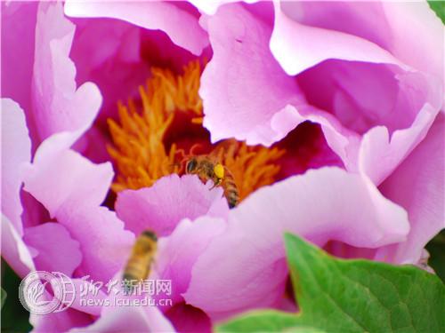 suncitygroup太阳集团