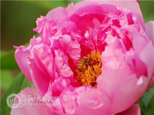 suncitygroup太阳集团