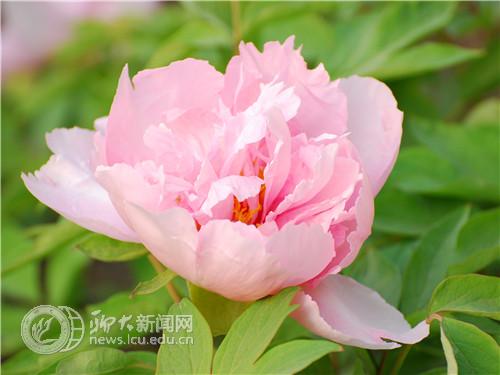 suncitygroup太阳集团