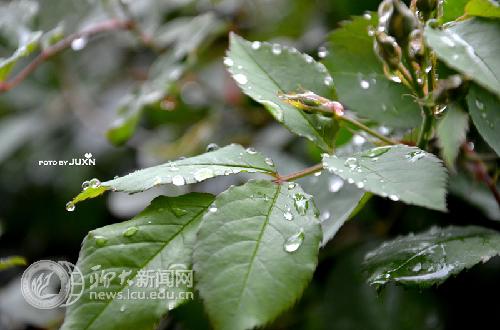 suncitygroup太阳集团