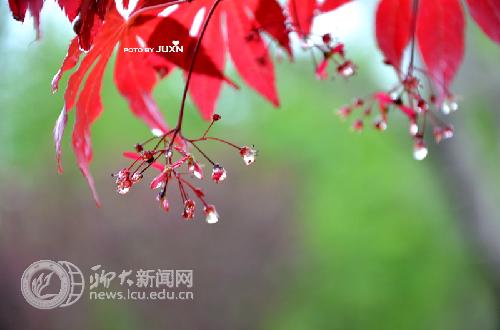 suncitygroup太阳集团