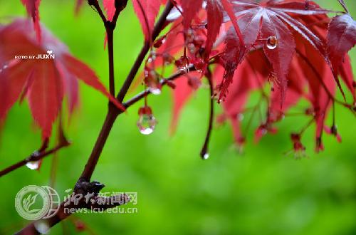 suncitygroup太阳集团