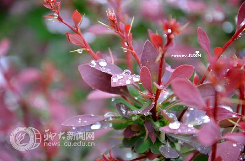 suncitygroup太阳集团