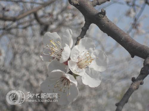 suncitygroup太阳集团