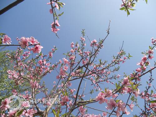 suncitygroup太阳集团