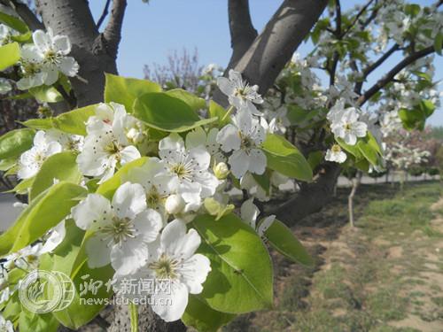 suncitygroup太阳集团