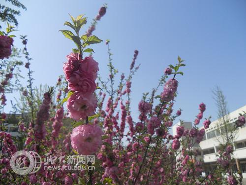 suncitygroup太阳集团