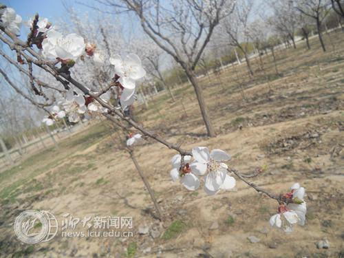 suncitygroup太阳集团