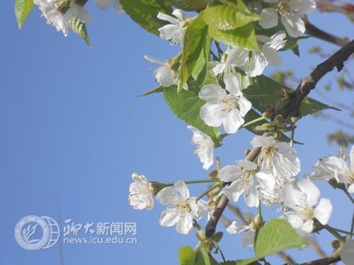 suncitygroup太阳集团