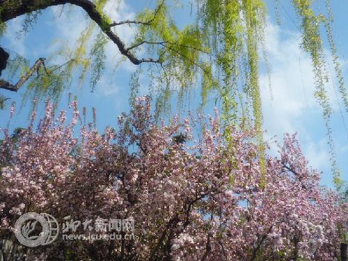 suncitygroup太阳集团