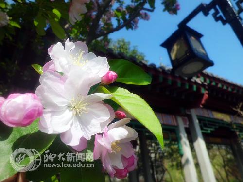 suncitygroup太阳集团