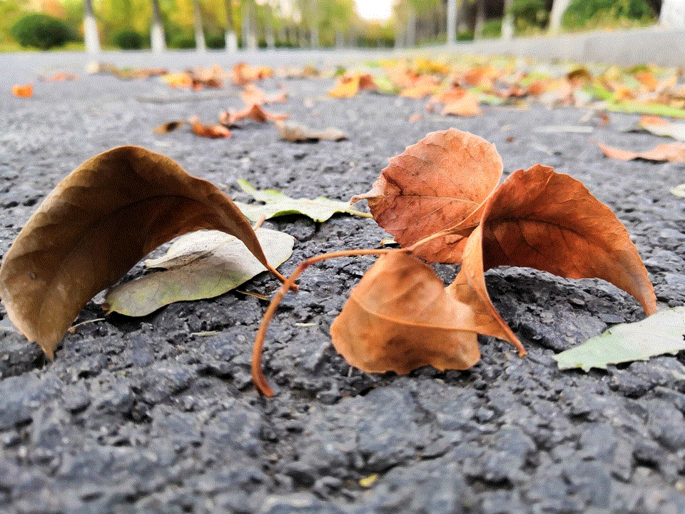 suncitygroup太阳集团