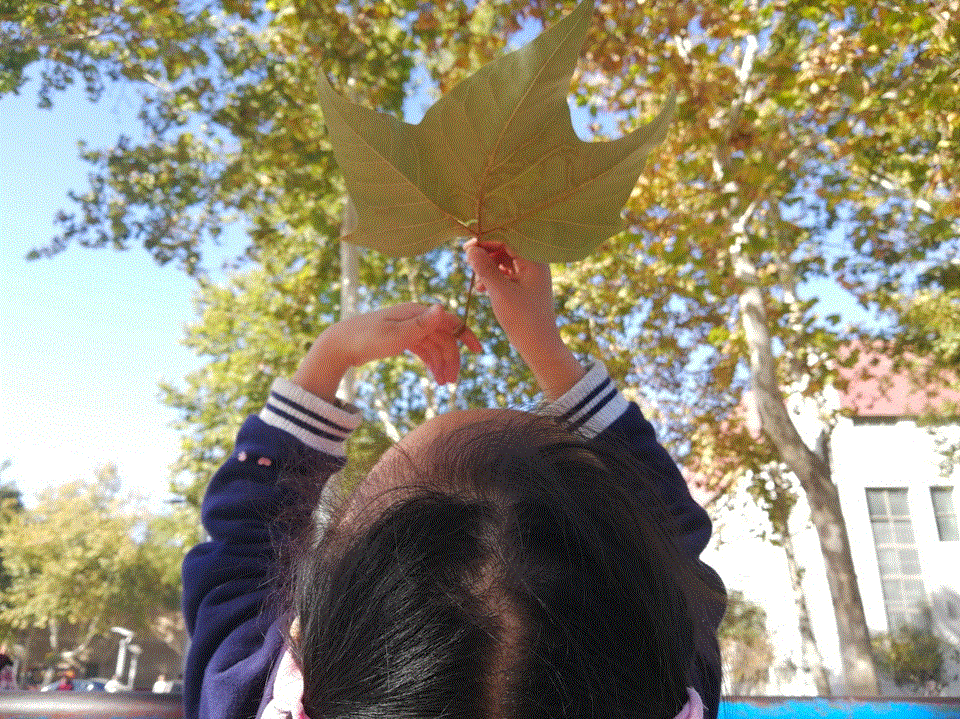 suncitygroup太阳集团