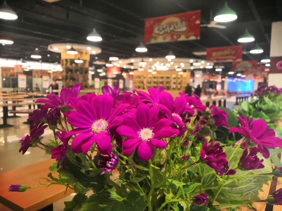 suncitygroup太阳集团