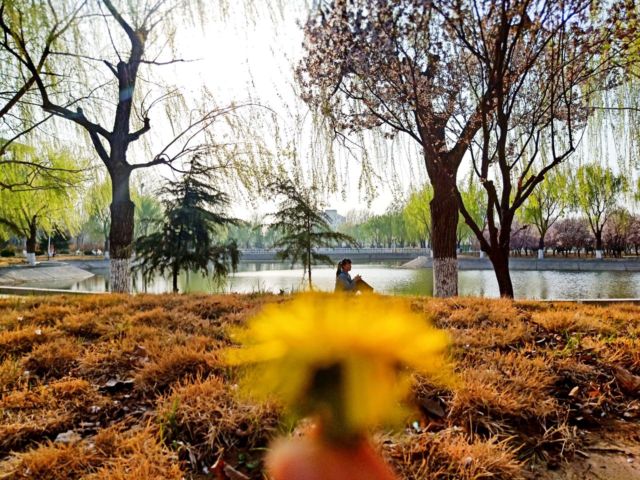 suncitygroup太阳集团