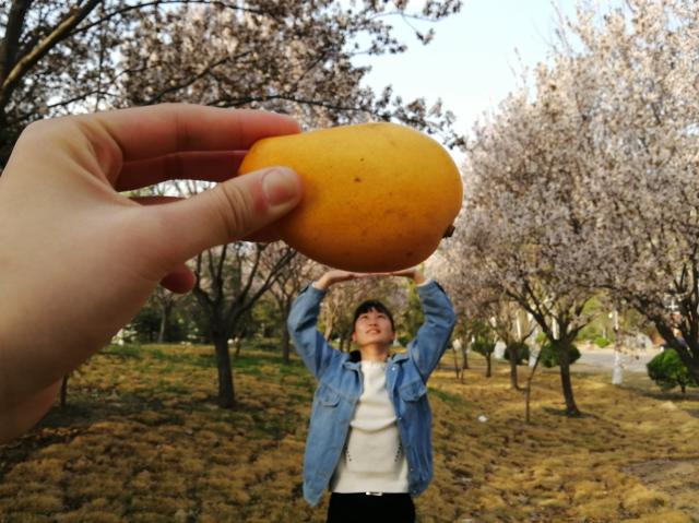 suncitygroup太阳集团