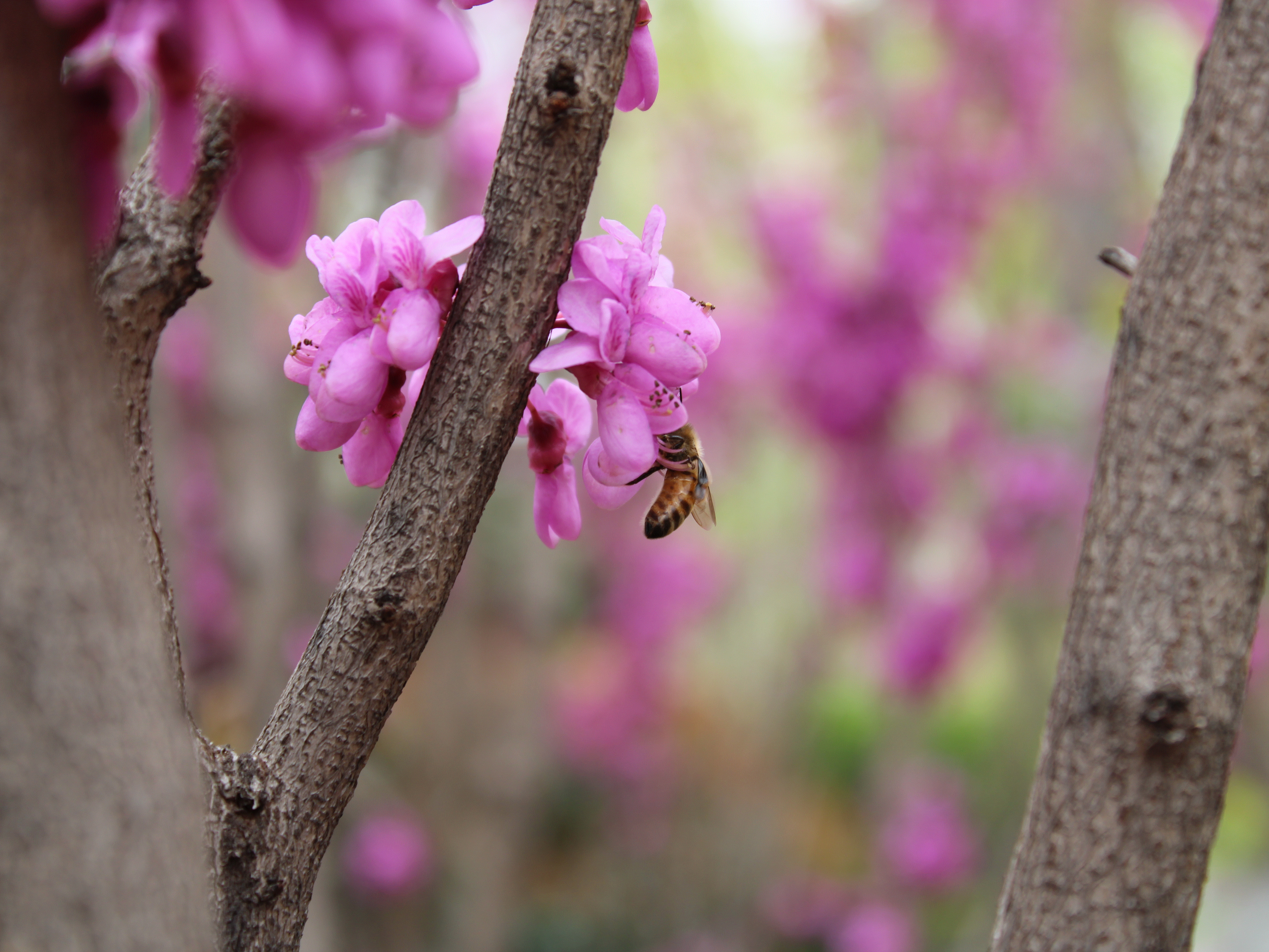 suncitygroup太阳集团