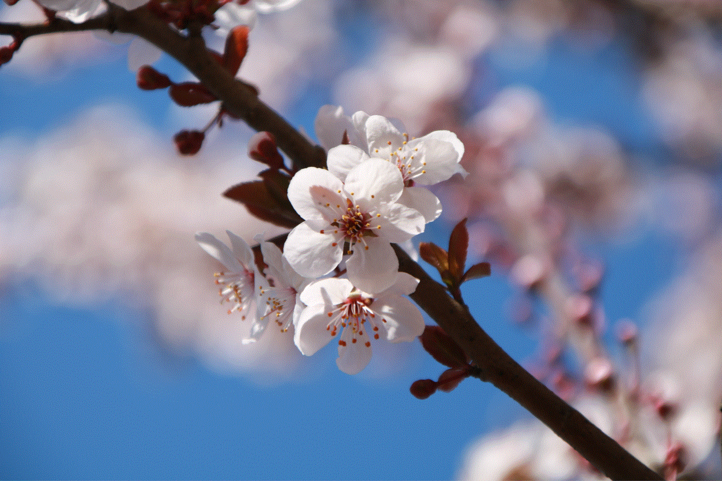 suncitygroup太阳集团