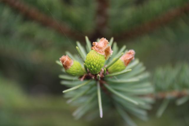 suncitygroup太阳集团