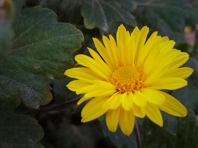 suncitygroup太阳集团