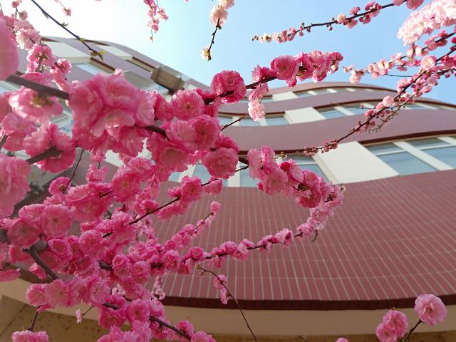 suncitygroup太阳集团