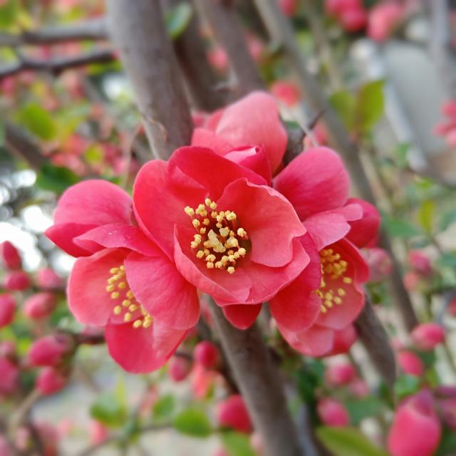 suncitygroup太阳集团