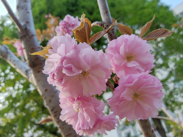 suncitygroup太阳集团