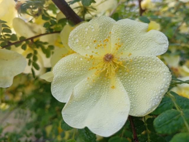 suncitygroup太阳集团