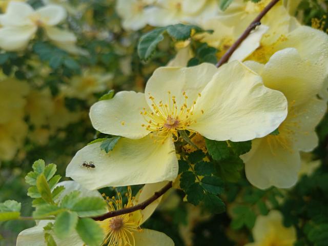 suncitygroup太阳集团