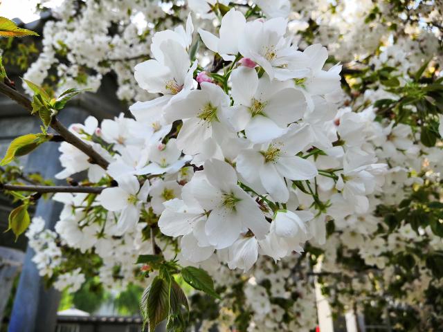 suncitygroup太阳集团