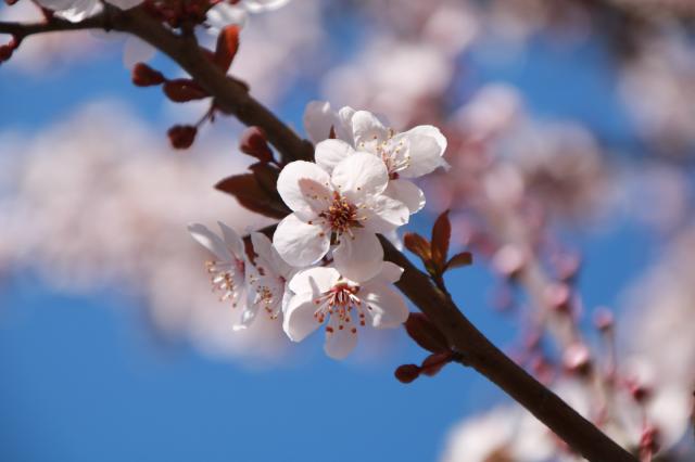 suncitygroup太阳集团