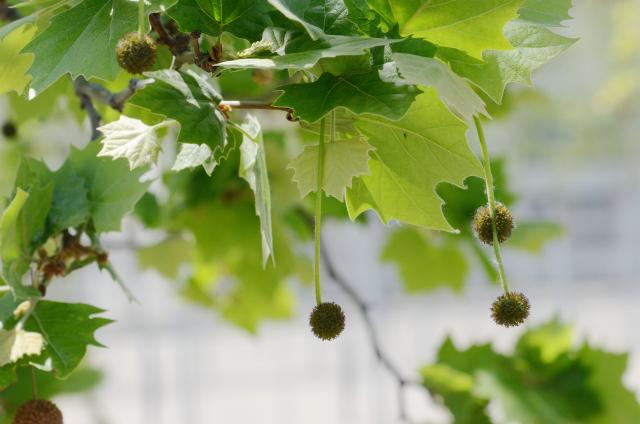 suncitygroup太阳集团